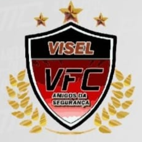 VISEL 1