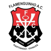 FLAMENGUINHO